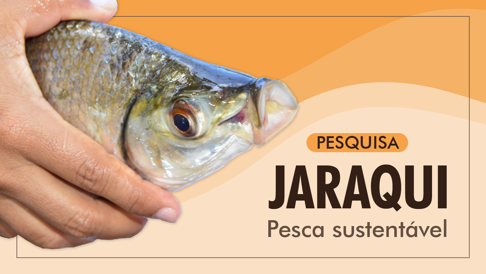 Pesquisa recomenda que jaraqui entre na lista de defeso